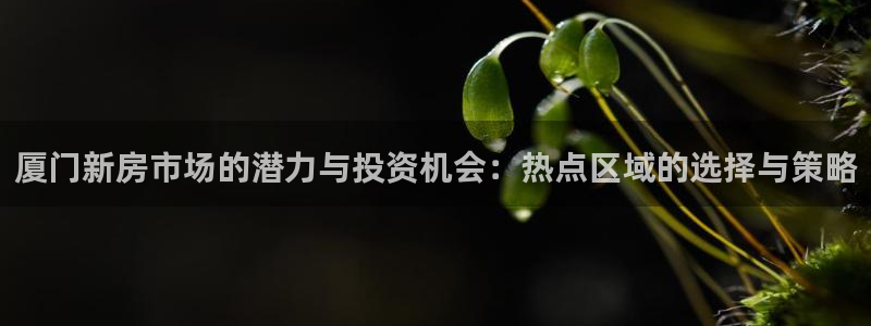 新宝5得74OOO5：厦门新房市场的潜力与投资机会：热点区域