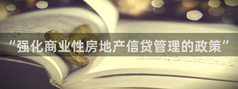 新宝骏rc5W：“强化商业性房地产信贷管理的政策”