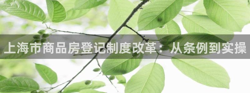 新宝5是谁：上海市商品房登记制度改革：从条例到实操
