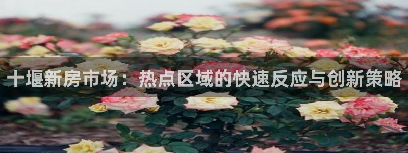 新宝5娱乐多
