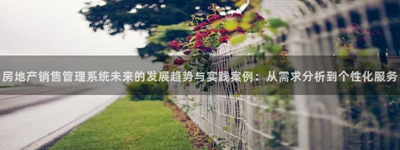 新宝5娱乐注册：房地产销售管理系统未来的发展趋势与实践案例：
