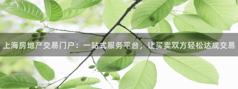 新宝5卫74OOO5：上海房地产交易门户：一站式服务平台，让
