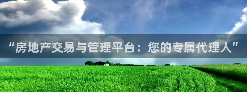 新宝5娱乐家：“房地产交易与管理平台：您的专属代理人”