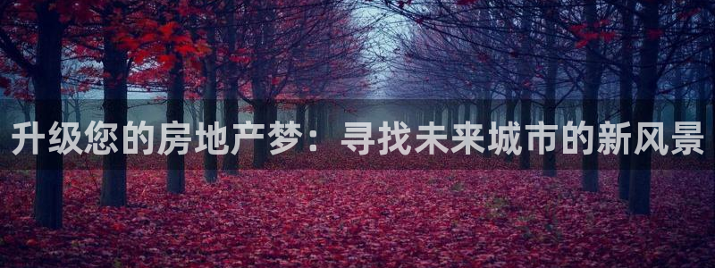 新宝娱乐5入口