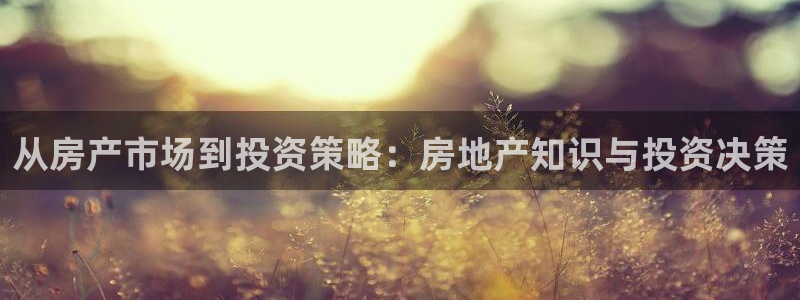 新宝5开户：从房产市场到投资策略：房地产知识与投资决策