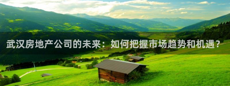 新宝5登录：武汉房地产公司的未来：如何把握市场趋势和机遇？