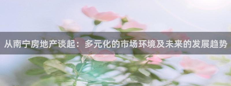新宝5娱乐经：从南宁房地产谈起：多元化的市场环境及未来的发展