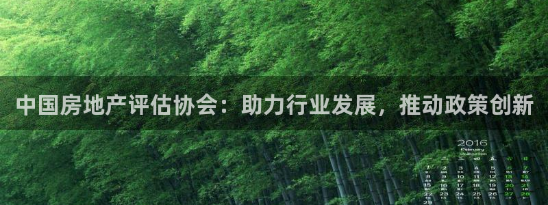 新宝b2O5O5O：中国房地产评估协会：助力行业发展，推动政
