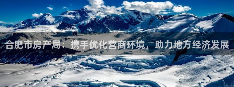 新宝5的网址：合肥市房产局：携手优化营商环境，助力地方经济发
