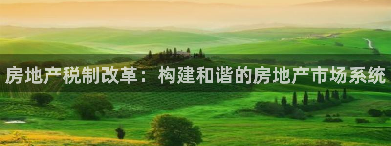 新宝5蒋74OOO5：房地产税制改革：构建和谐的房地产市场系