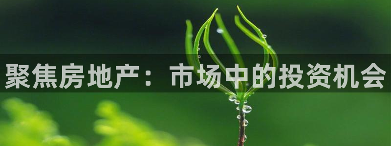 新宝5可靠吗：聚焦房地产：市场中的投资机会