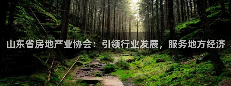 新宝5测试：山东省房地产业协会：引领行业发展，服务地方经济