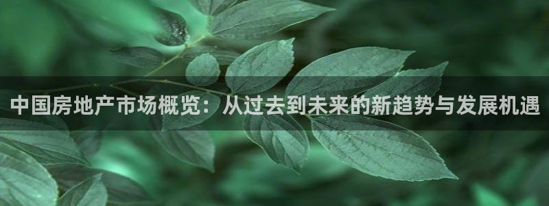新宝5 注册：中国房地产市场概览：从过去到未来的新趋势与发展