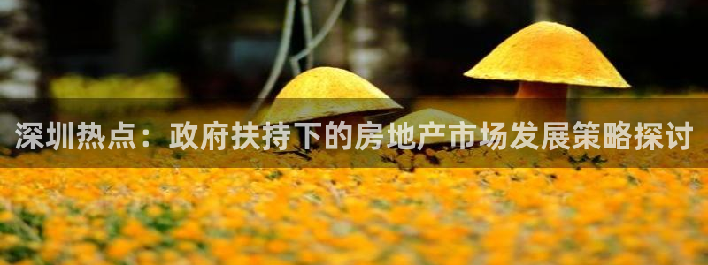 新宝5娱乐同：深圳热点：政府扶持下的房地产市场发展策略探讨