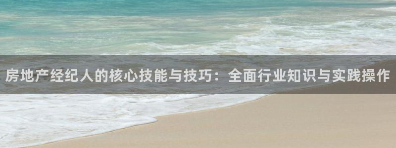 菲律宾新宝5老板：房地产经纪人的核心技能与技巧：全面行业知识