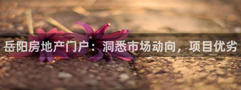 新宝5手机登陆：岳阳房地产门户：洞悉市场动向，项目优劣