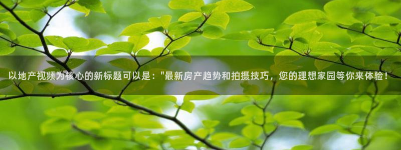 新宝5找找74OOO5：以地产视频为核心的新标题可以是：\