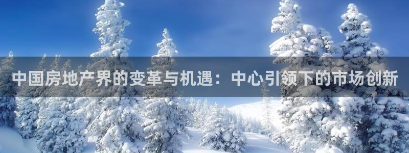 新宝5下载到桌面：中国房地产界的变革与机遇：中心引领下的市场
