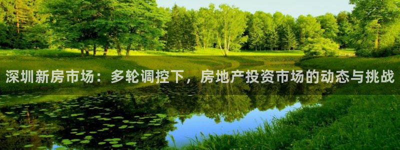 新宝 5测速：深圳新房市场：多轮调控下，房地产投资市场的动态