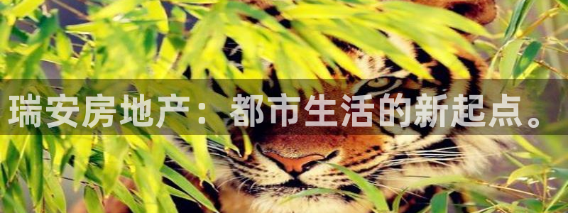 新宝5在哪里：瑞安房地产：都市生活的新起点。