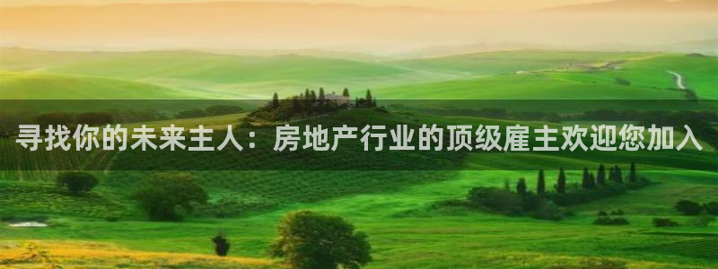 新宝5招商222111：寻找你的未来主人：房地产行业的顶级雇
