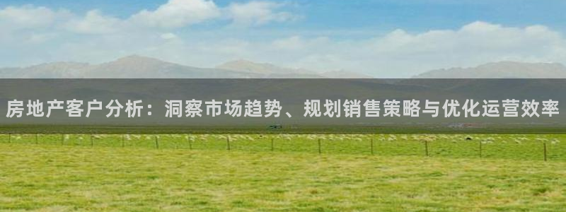 新宝5主管：房地产客户分析：洞察市场趋势、规划销售策略与优化