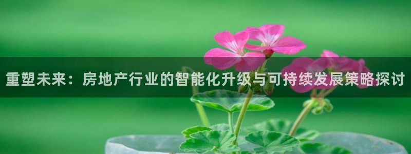 新宝 5测速：重塑未来：房地产行业的智能化升级与可持续发展策