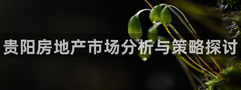新宝股东张听2 5 5：贵阳房地产市场分析与策略探讨