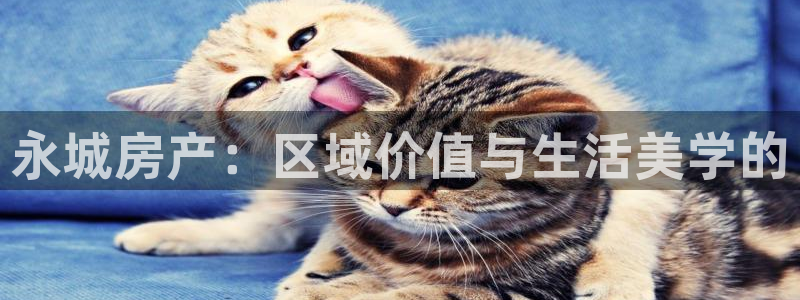 新宝5日谢29999：永城房产：区域价值与生活美学的