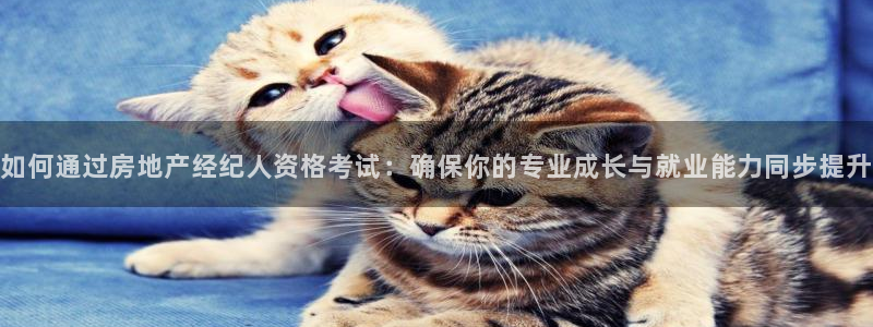 新宝5黑彩：如何通过房地产经纪人资格考试：确保你的专业成长与
