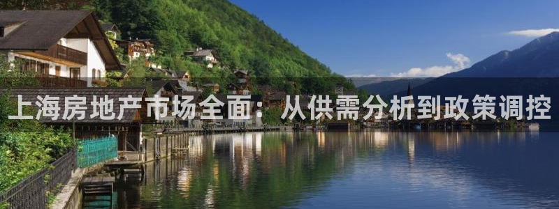 新宝5蒋74OOO5：上海房地产市场全面：从供需分析到政策调