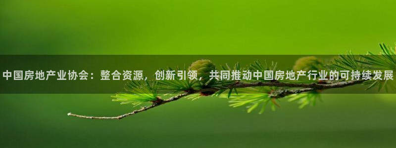 新宝5平台咋样：中国房地产业协会：整合资源，创新引领，共同推