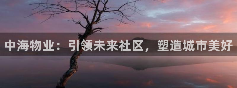 新宝5娱乐网址：中海物业：引领未来社区，塑造城市美好