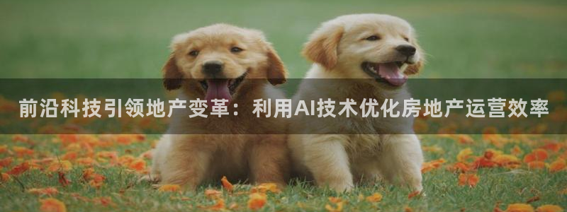 新宝测速5：前沿科技引领地产变革：利用AI技术优化房地产运营