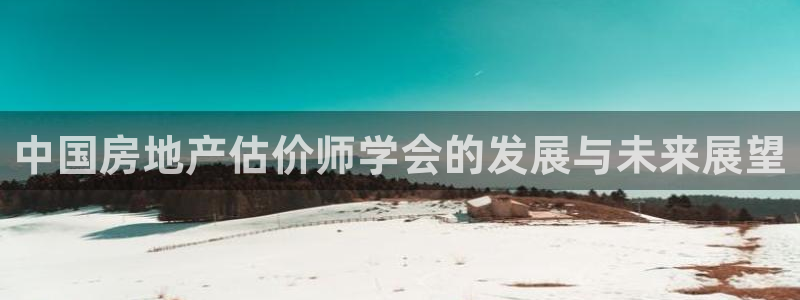 新宝5下载注册：中国房地产估价师学会的发展与未来展望