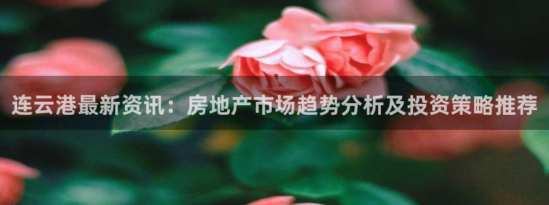 新宝5娱乐登录：连云港最新资讯：房地产市场趋势分析及投资策略