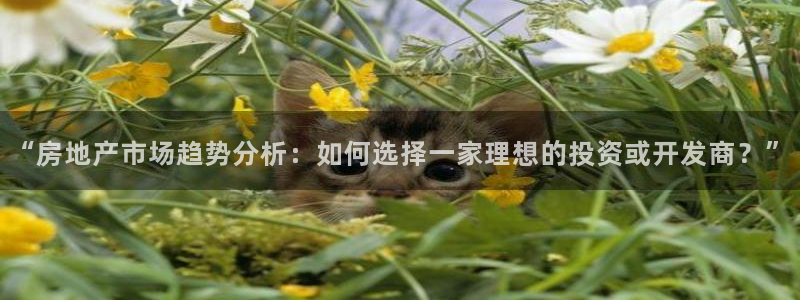 皇冠新宝5：“房地产市场趋势分析：如何选择一家理想的投资或开