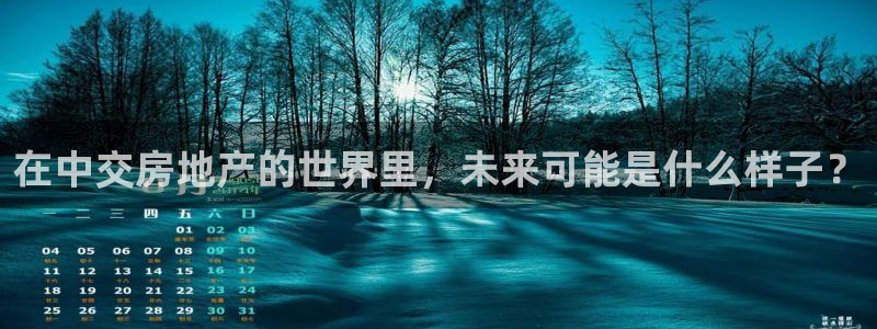 新宝股东瞧听2 5 5：在中交房地产的世界里，未来可能是什么