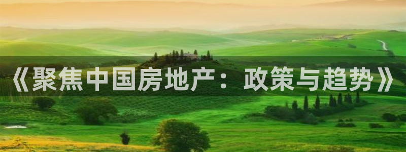 有人知道新宝5么：《聚焦中国房地产：政策与趋势》