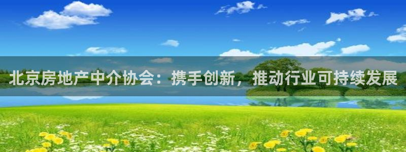 新宝5网址：北京房地产中介协会：携手创新，推动行业可持续发展