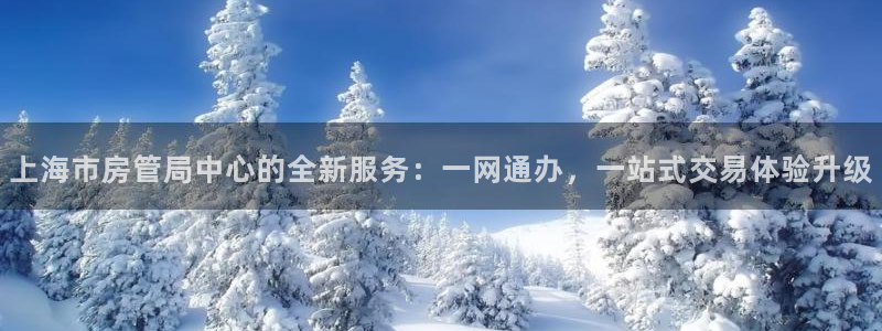 新宝5手机平台登陆：上海市房管局中心的全新服务：一网通办，一