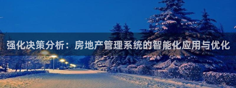 新宝那2O5O5O：强化决策分析：房地产管理系统的智能化应用