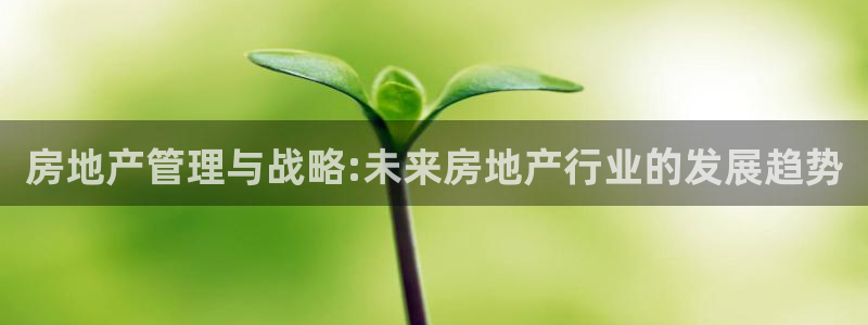 新宝5电脑：房地产管理与战略:未来房地产行业的发展趋势