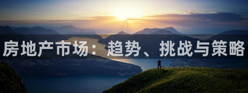 新宝5内部：房地产市场：趋势、挑战与策略