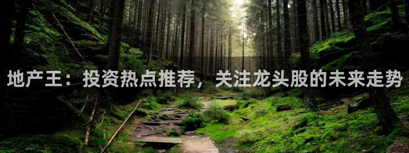 新宝5d：地产王：投资热点推荐，关注龙头股的未来走势