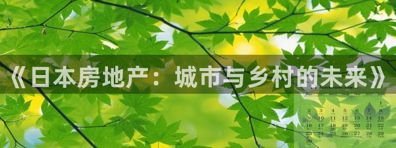 新宝娱乐5：《日本房地产：城市与乡村的未来》