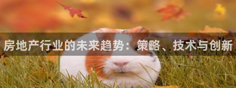 新宝xb5：房地产行业的未来趋势：策略、技术与创新