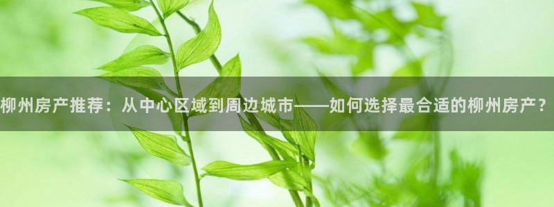 新宝股东瞧听2 5 5：柳州房产推荐：从中心区域到周边城市—