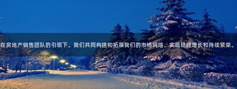 新宝5日：在房地产销售团队的引领下，我们共同构建和拓展我们的