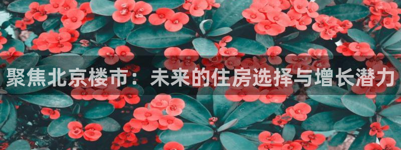 新宝5登录界面：聚焦北京楼市：未来的住房选择与增长潜力